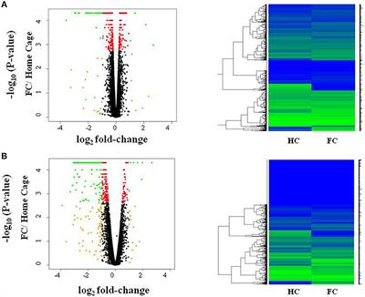 Dynamic Patterns of Threat-Associated Gene Expression in the Amygdala and Blood